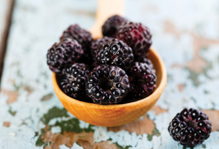Black Raspberry Jam Recipe